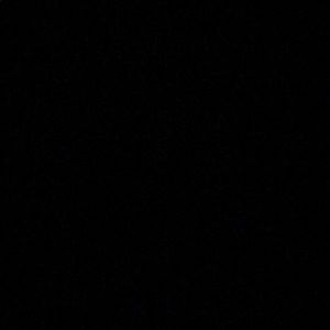 Meet your Posher, Gavin